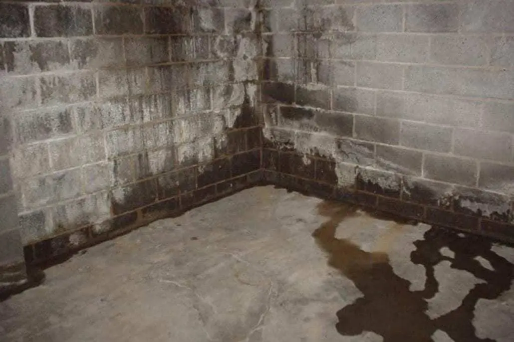 water-proofing-basement-standard1_7b1d084bb7291768ac1e8b85546f6cd7_1280x854_q85